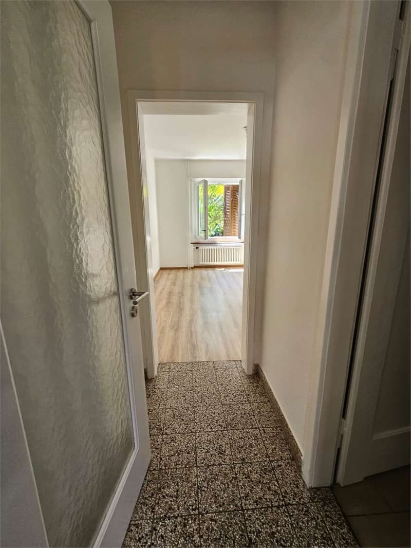 Lugano, grazioso 2.5 locali con balcone (10)