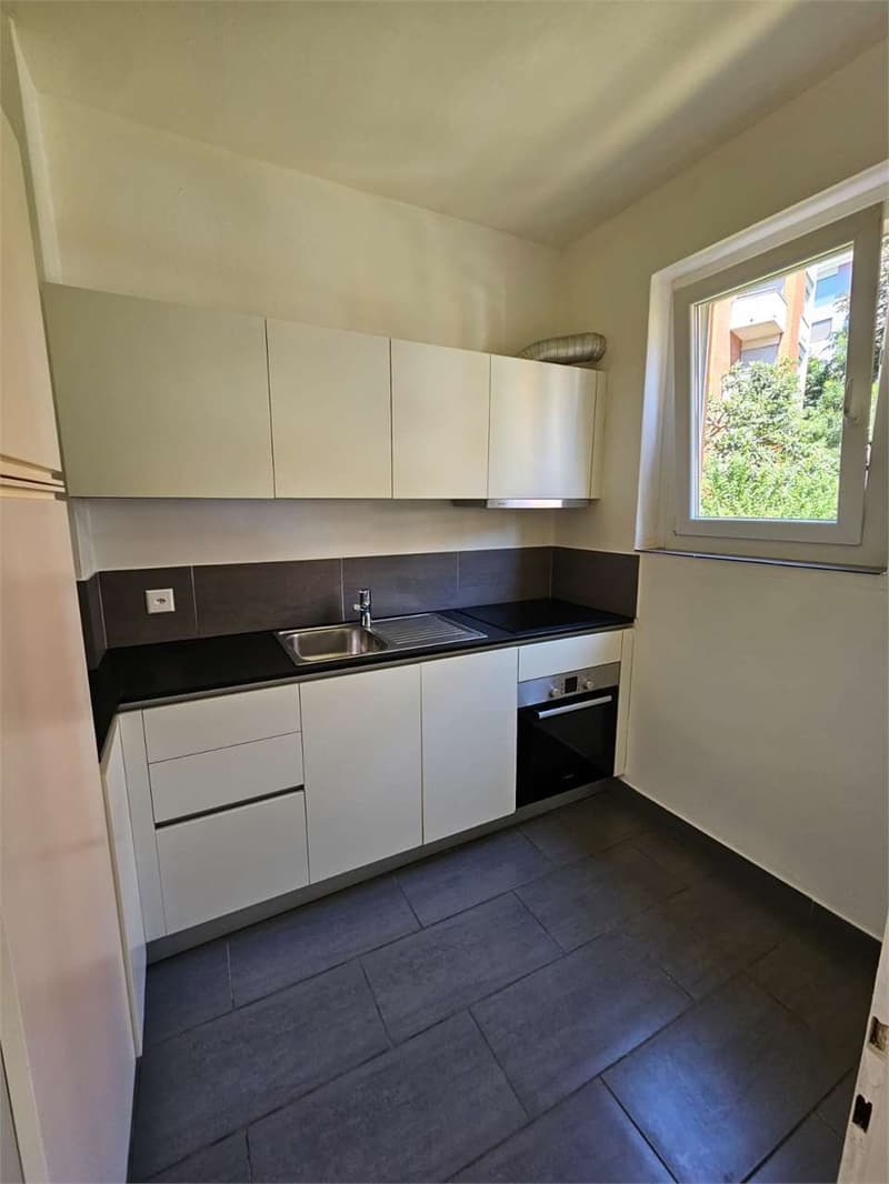 Lugano, grazioso 2.5 locali con balcone (9)