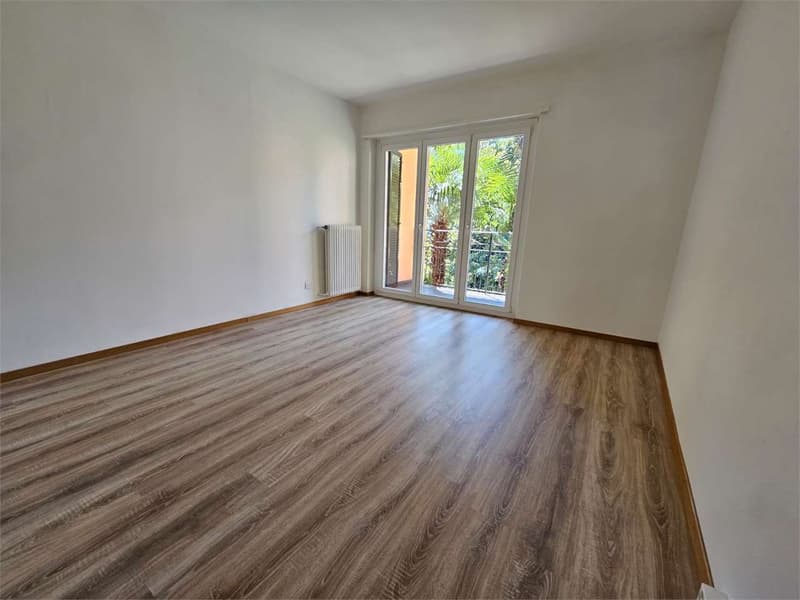 Lugano, grazioso 2.5 locali con balcone (3)
