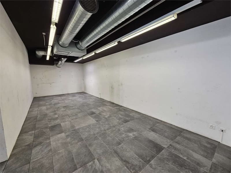 Negozio-spazio commerciale in affitto a Lugano (8)