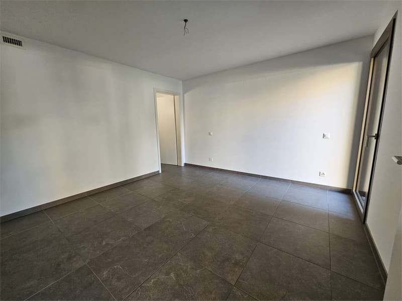 Giubiasco recente 4.5 locali con giardino (11)