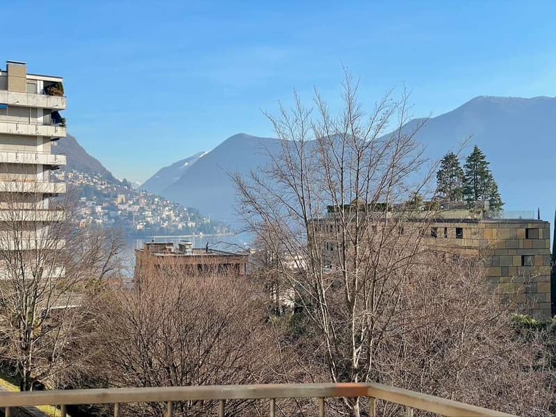 Lugano, affitto 2.5 locali (7)