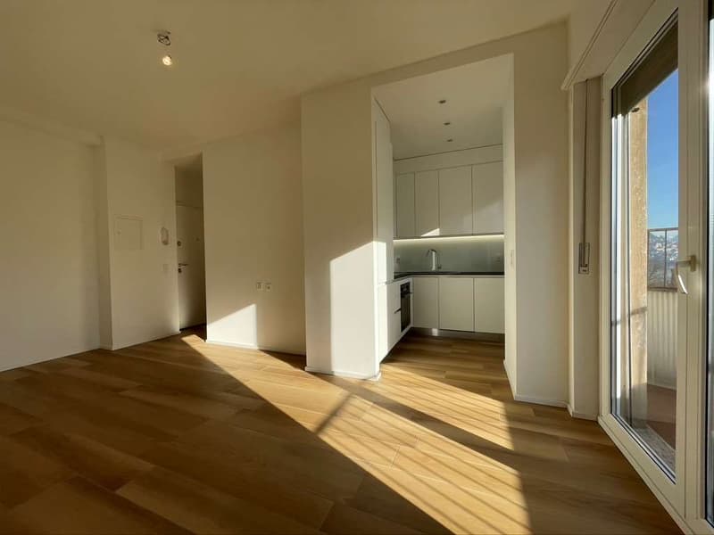 Lugano, affitto 2.5 locali (2)