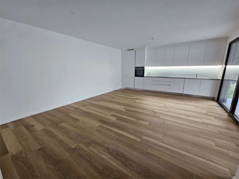Cureglia, affitto 3.5 locali con terrazzo (3)