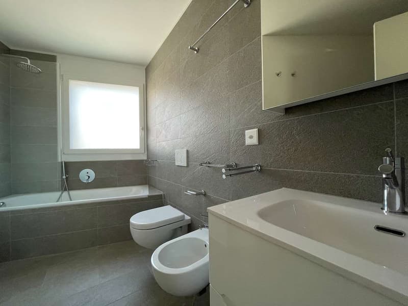 Melide, 3.5 locali con terrazzo (4)