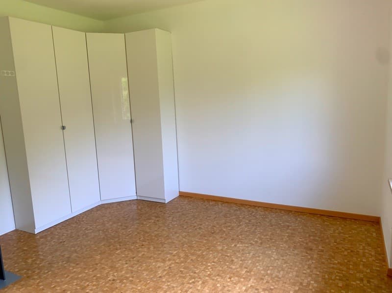 Empty room, white walls, parquet floor, large corner cabinets