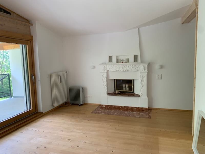 Wooden floor, white walls, fireplace, glass door, heater, radiator
