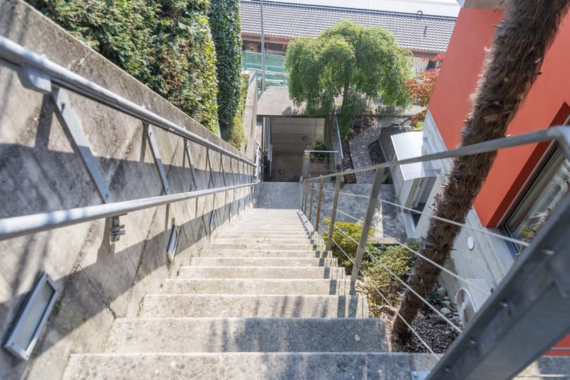 Set of concrete steps with metal railings, a tree and a building on the side