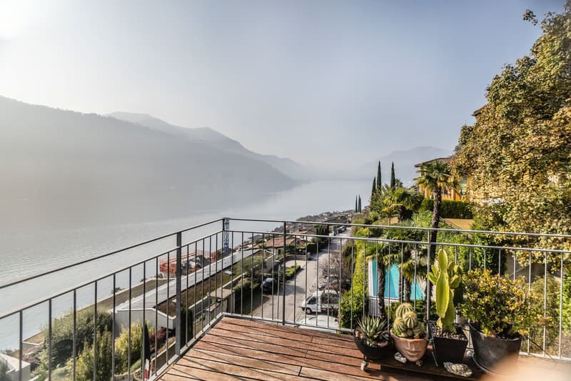 View of mountains and sea, wooden terrace, plants, swimming pool, trees