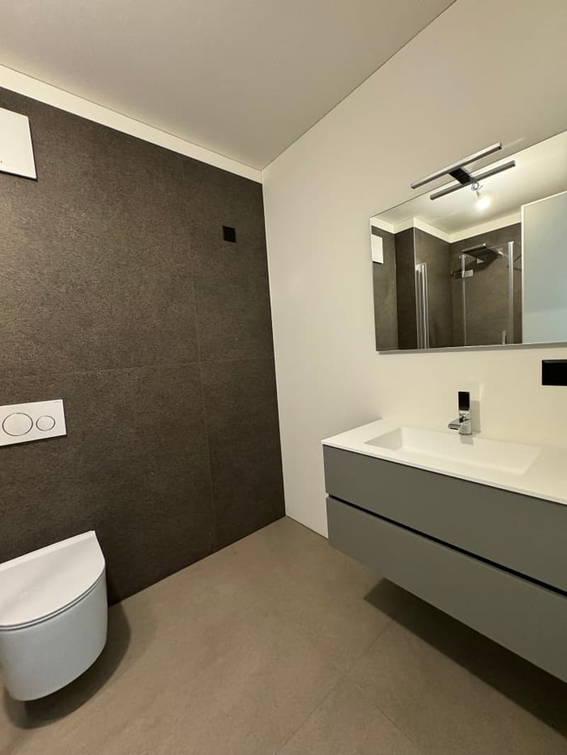 Modern bathroom with dark gray wall tiles, white vanity with sink, mirror, and toilet