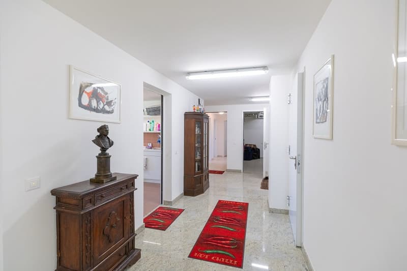 white walls, wooden cabinet, bust, red rugs, picture frames, wooden cabinet with glass doors, kitchen area
