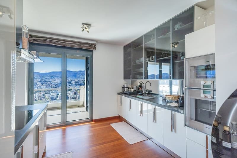 modern kitchen with wooden floor, white cabinets, glass doors, stainless steel appliances, large windows with balcony