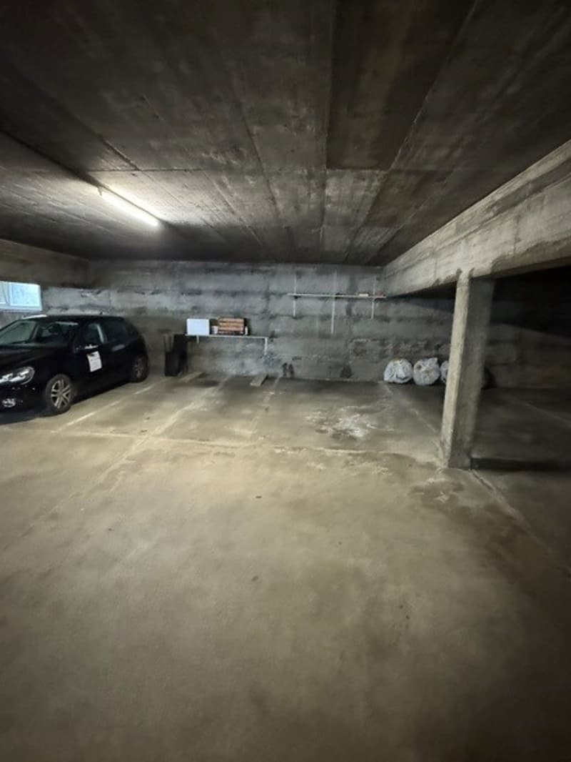 3.5 locali con vista aperta sulla città e montagne e due posti auto (22)