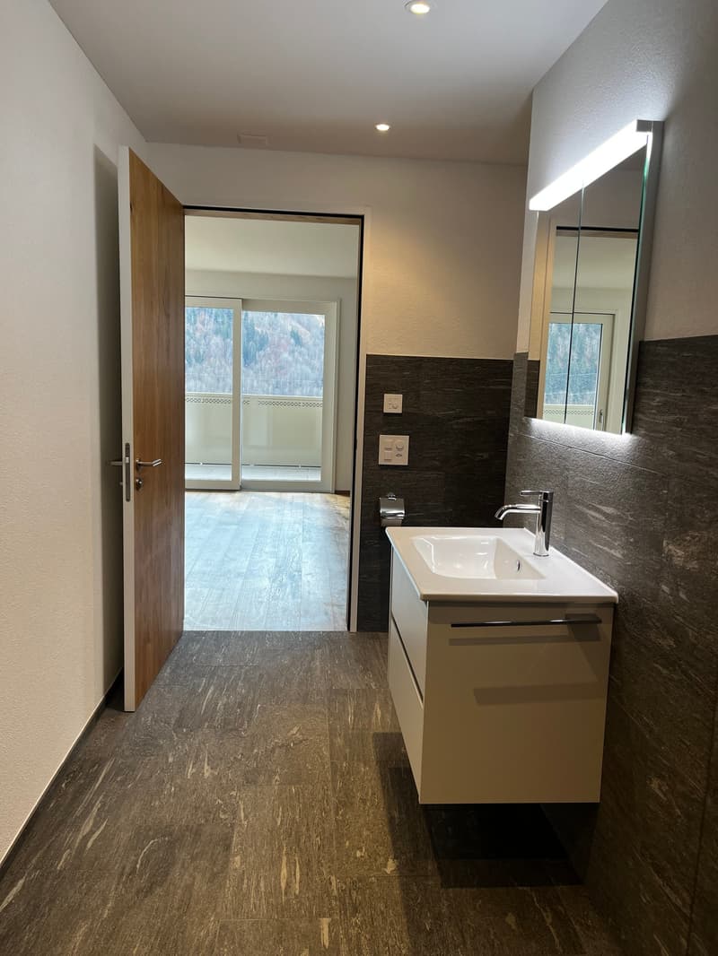 Interior bathroom with walk-in shower, toilet, washbasin, wooden floor and sliding glass doors