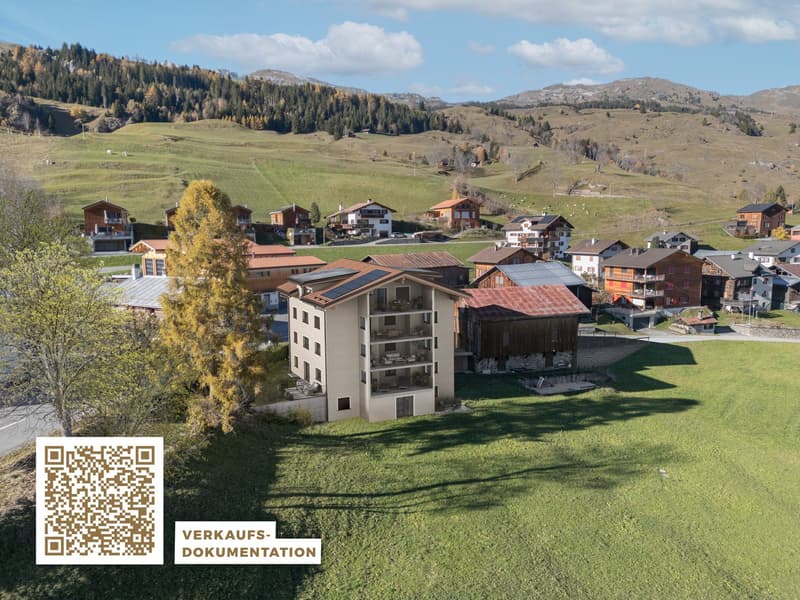 Im Umbau: 3.5-Zimmerwohnung mit wunderschöner Aussicht mit Sitzplatz und Garten (2)