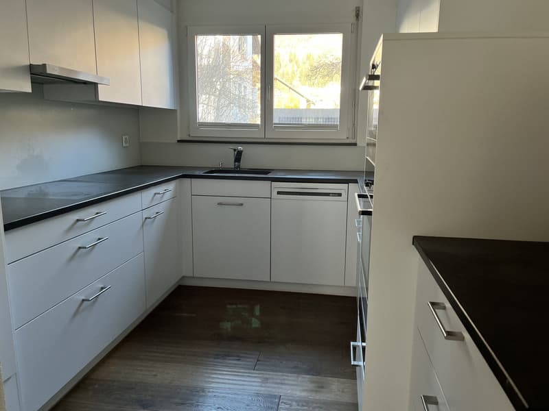 modern kitchen with white cabinets, black countertops, stainless steel sink, dishwasher, wooden floor