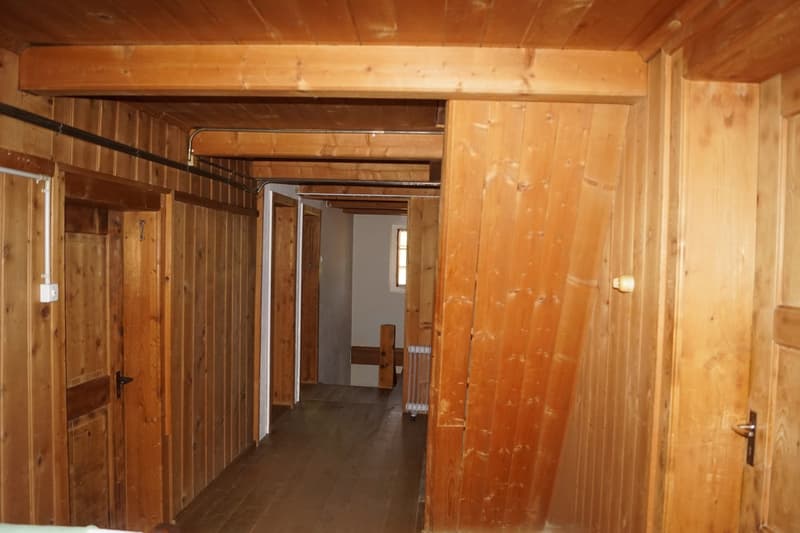 Bauernhaus mit zwei Stallbauten und Bergpanorama in Rabius (13)