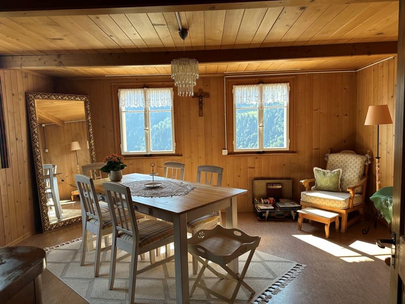 Bauernhaus mit zwei Stallbauten und Bergpanorama in Rabius (13)