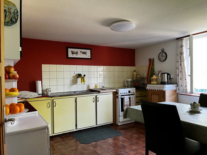 Bauernhaus mit zwei Stallbauten und Bergpanorama in Rabius (10)