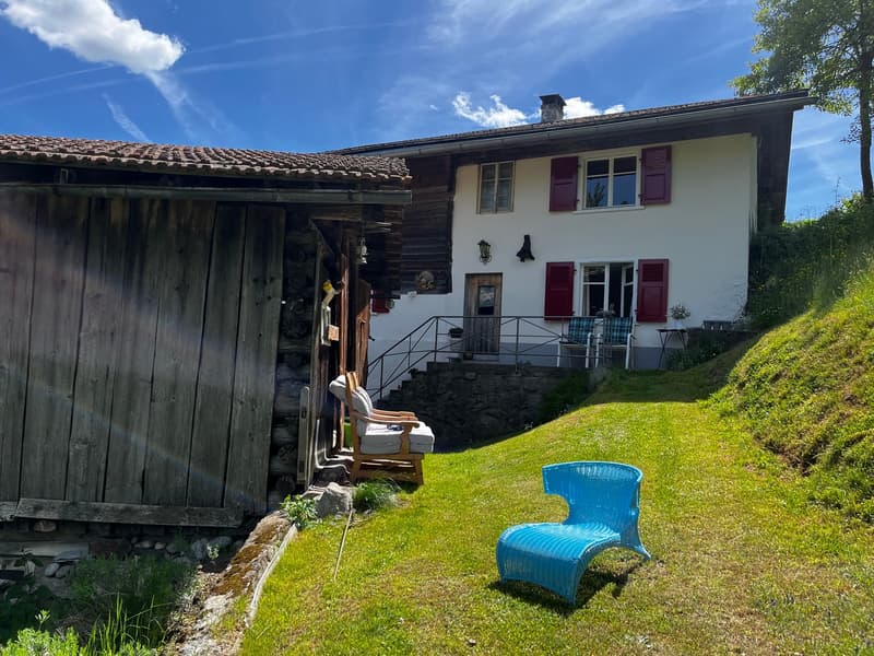 Bauernhaus mit zwei Stallbauten und Bergpanorama in Rabius (2)