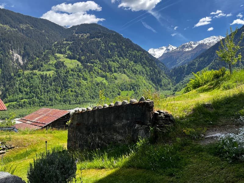 Bauernhaus mit zwei Stallbauten und Bergpanorama in Rabius (5)