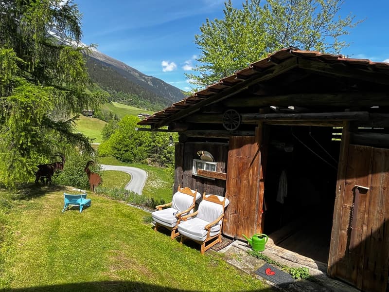 Bauernhaus mit zwei Stallbauten und Bergpanorama in Rabius (3)