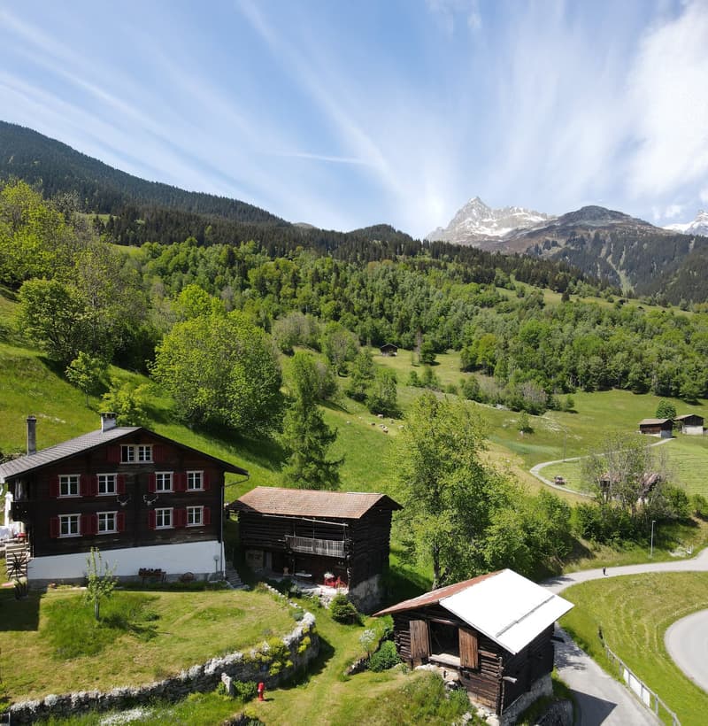 Bauernhaus mit zwei Stallbauten und Bergpanorama in Rabius (1)