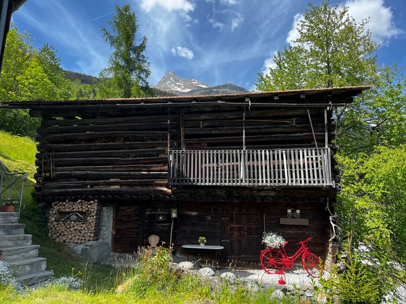 Bauernhaus mit zwei Stallbauten und Bergpanorama in Rabius (6)