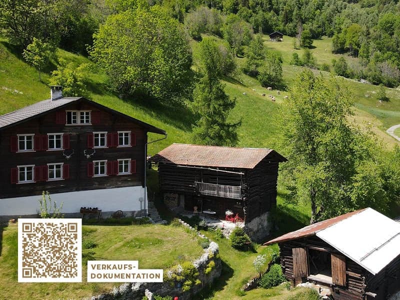 Bauernhaus mit zwei Stallbauten und Bergpanorama in Rabius (15)