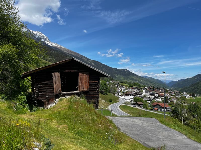 Bauernhaus mit zwei Stallbauten und Bergpanorama in Rabius (7)
