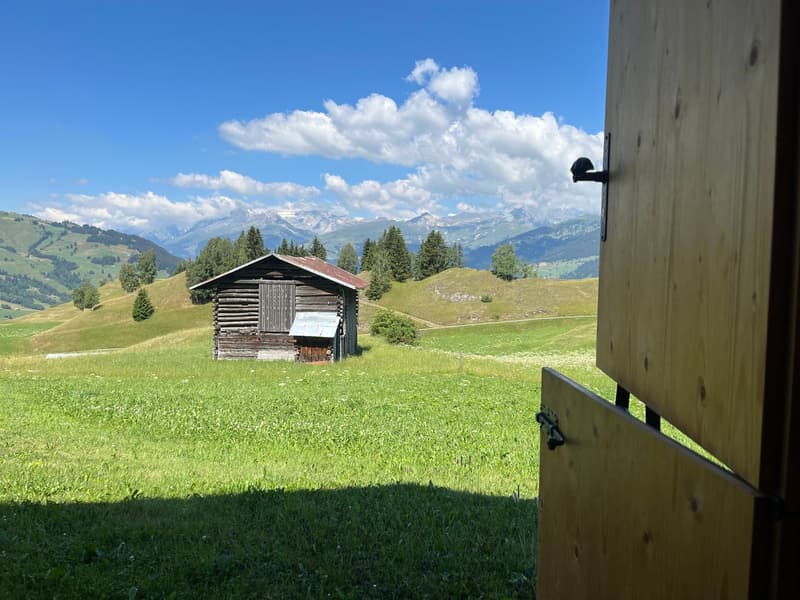 Idyllisches Maiensäss mit Stall in Sevgein (Ilanz/Glion) (8)