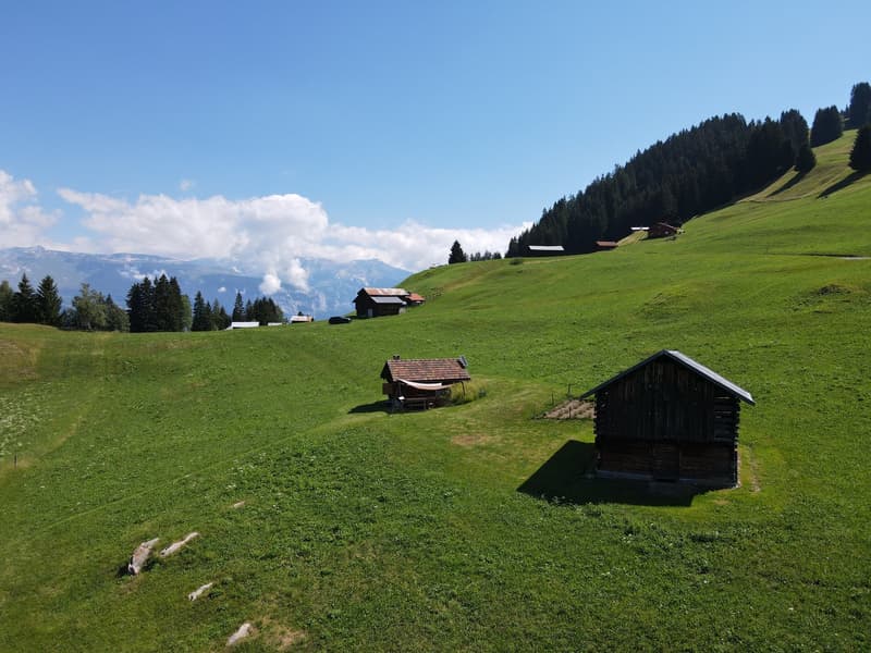 Idyllisches Maiensäss mit Stall in Sevgein (Ilanz/Glion) (2)