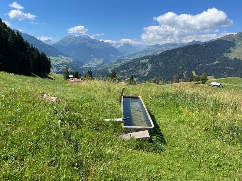 Idyllisches Maiensäss mit Stall in Sevgein (Ilanz/Glion) (14)