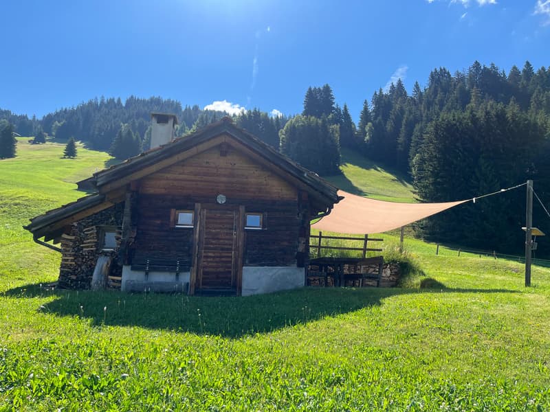 Idyllisches Maiensäss mit Stall in Sevgein (Ilanz/Glion) (5)