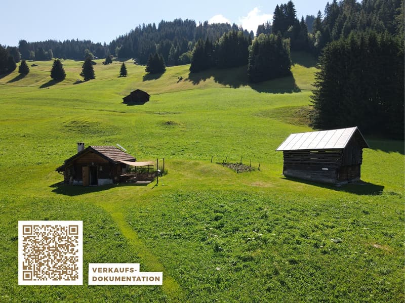 Idyllisches Maiensäss mit Stall in Sevgein (Ilanz/Glion) (1)