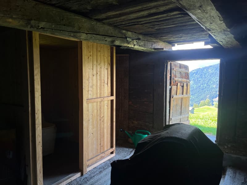 Idyllisches Maiensäss mit Stall in Sevgein (Ilanz/Glion) (16)