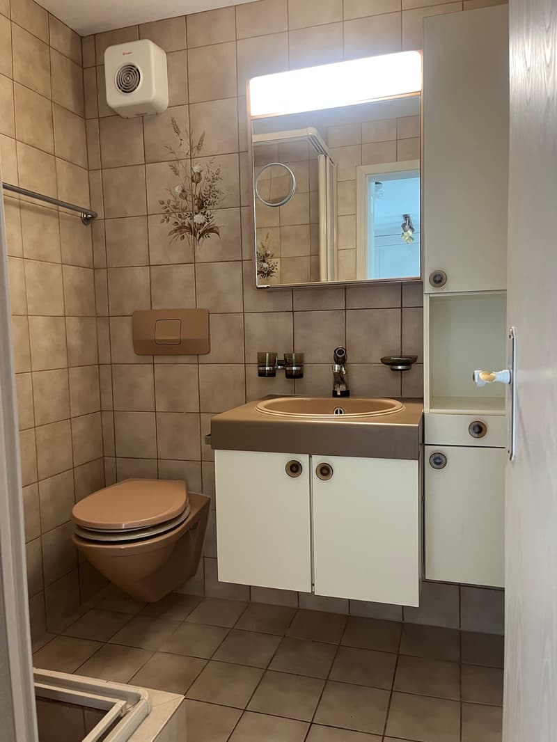 2.5-Zimmerwohnung mit Bergpanorama in Falera (Zweitwohnsitz) (10)