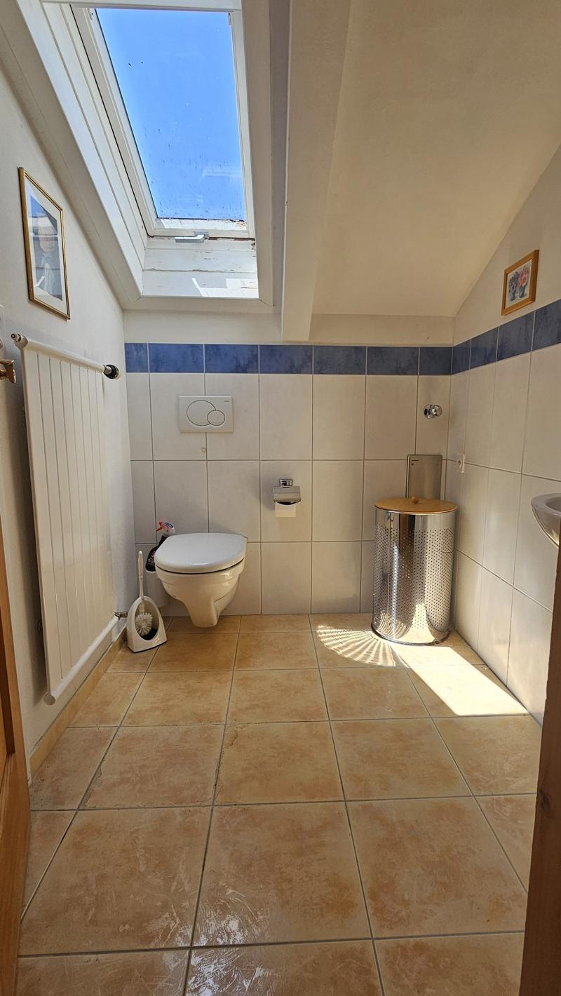 Charmante 2.5-Zimmer-Dachwohnung in Trun (7)