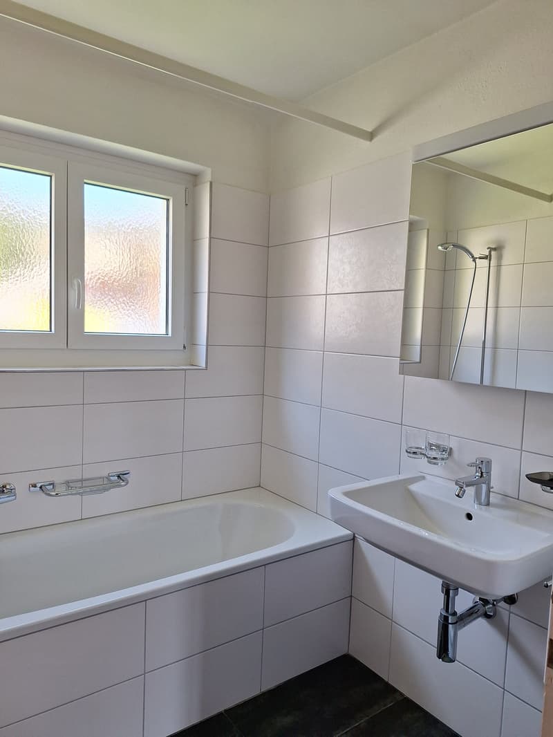 Attraktive 3 - Zimmerwohnung an ruhiger Lage (6)