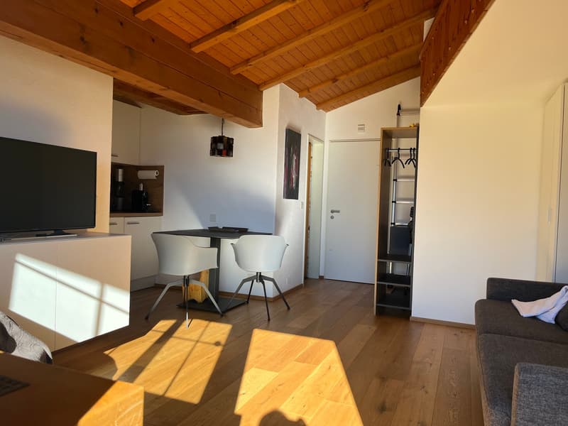 1-Zimmerwohnung mit Galerie und Panoramablick in Falera (5)