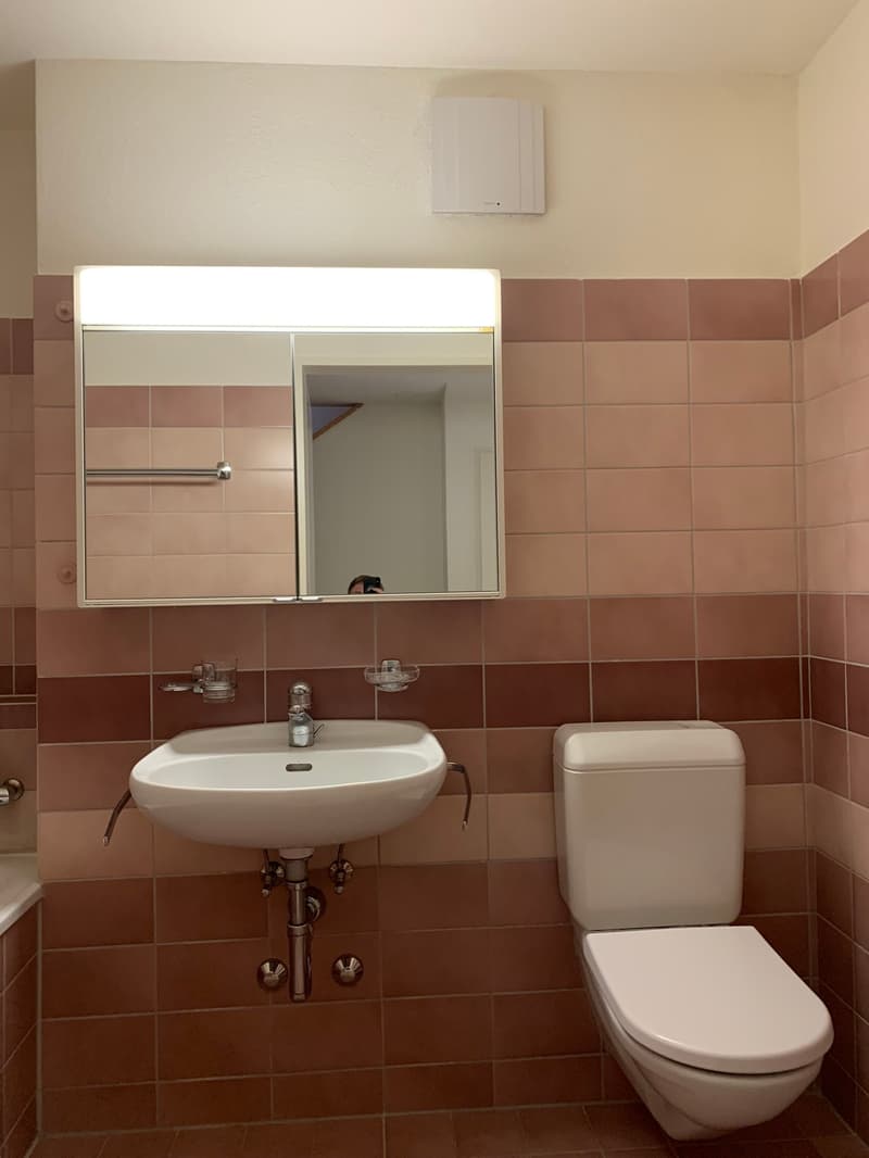 Grosszügige 4.5 Zi.-Maisonette-Wohnung in Fahrweid / Wohnen in einer Genossenschaft (12)