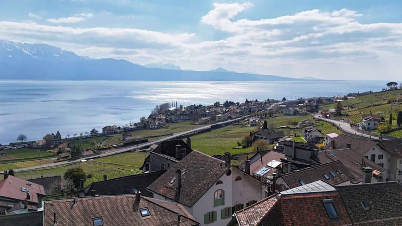 Riex, au cur du Lavaux - Maison vigneronne avec intérieur comtemporain (1)
