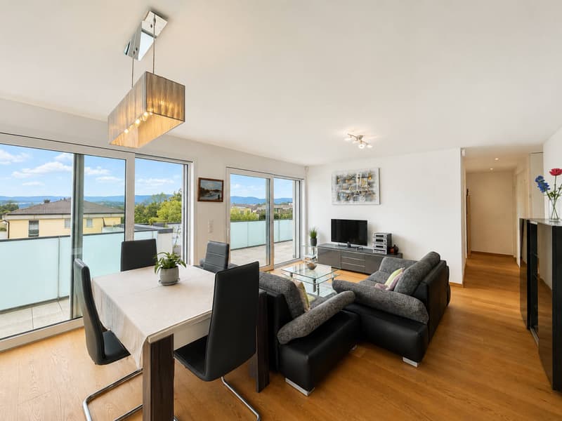 Attique de 2020, terrasse de 53 m² et vue sur l'arc lémanique (4)