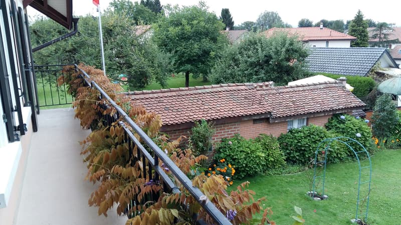 Appartement de 5.5 pièces en duplex avec beaucoup de cachet, 1er étage, env. 129 m2 (7)
