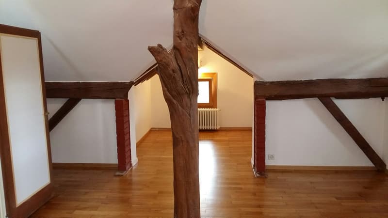 Appartement de 5.5 pièces en duplex avec beaucoup de cachet, 1er étage, env. 129 m2 (4)