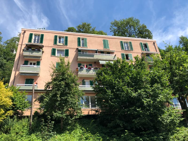 Studio no 01, 3ème étage, env. 16 m2 (1)