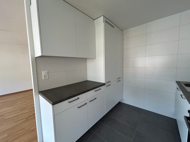 Appartement rénové de 3.5 pièces avec vue sur le lac, 6ème étage, env. 76 m2 (1)