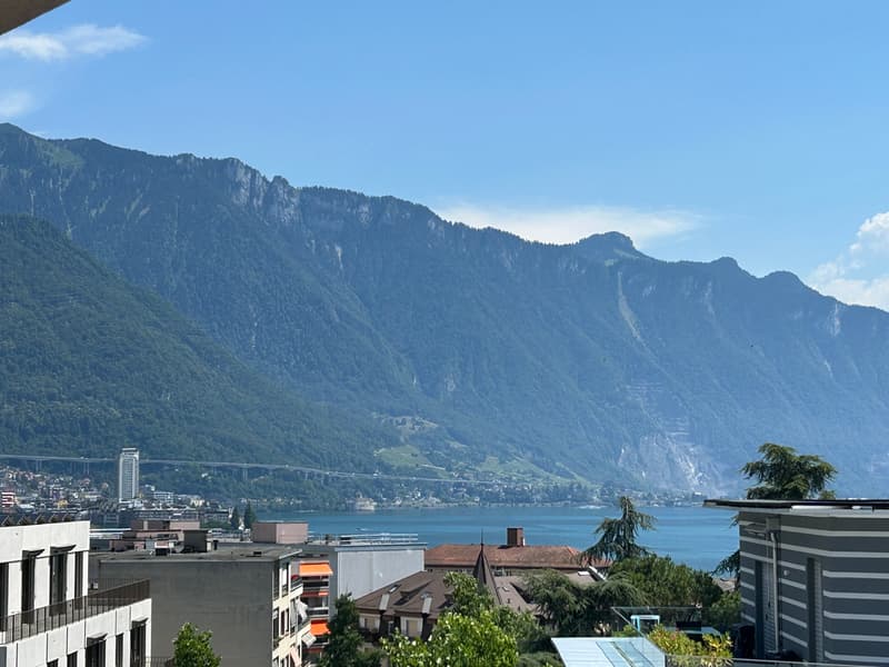 Appartement rénové de 3.5 pièces avec vue sur le lac, 6ème étage, env. 60 m2 (6)