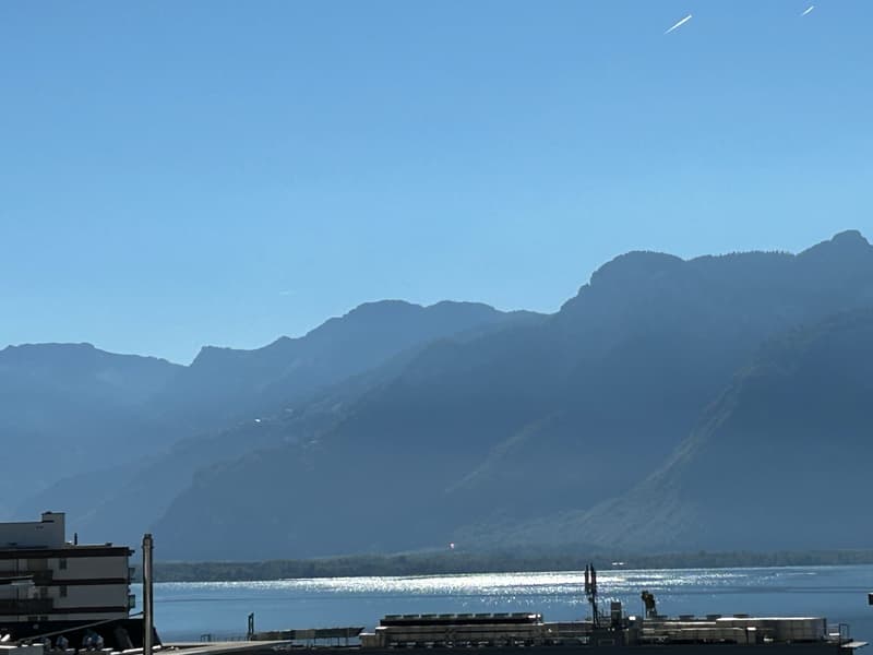 Appartement rénové de 3.5 pièces avec vue sur le lac, 6ème étage, env. 76 m2 (8)