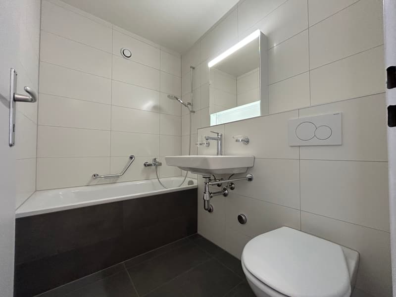 Appartement rénové de 3.5 pièces avec vue sur le lac, 6ème étage, env. 76 m2 (6)